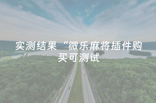 实测结果“微乐麻将插件购买可测试（专用辅牌神器免安装）
