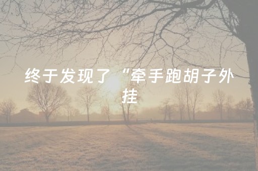终于发现了“牵手跑胡子外挂（助赢神器通用版）