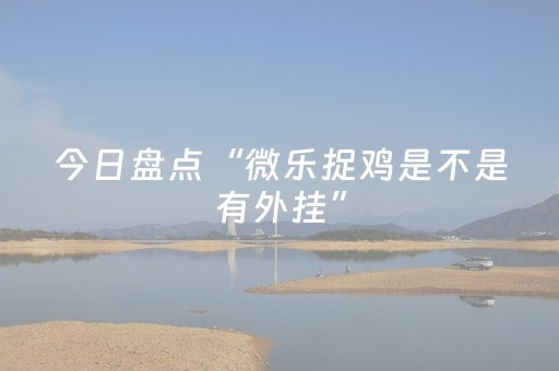 今日盘点“微乐捉鸡是不是有外挂”（详细透视教程）-哔哩哔哩