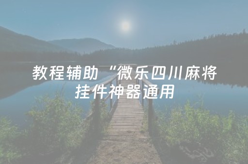 教程辅助“微乐四川麻将挂件神器通用（专用辅牌神器免安装）