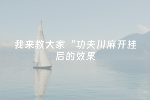 我来教大家“功夫川麻开挂后的效果（专用辅牌神器免安装）