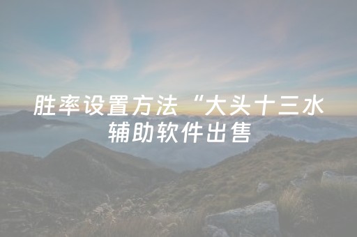 胜率设置方法“大头十三水辅助软件出售（专用辅牌神器免安装）