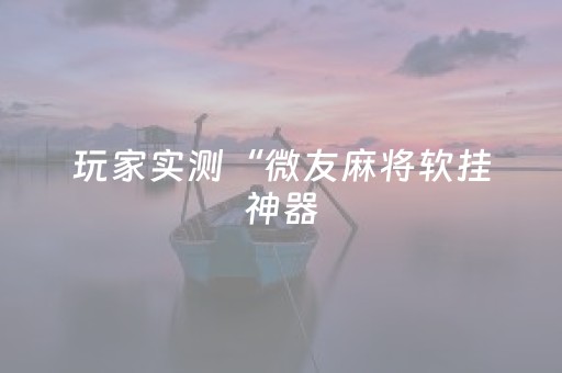 玩家实测“微友麻将软挂神器（助赢神器通用版）