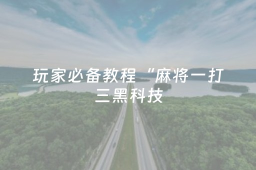 玩家必备教程“麻将一打三黑科技（助赢神器通用版）