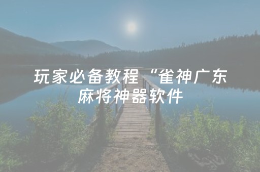 玩家必备教程“雀神广东麻将神器软件（专用辅牌神器免安装）