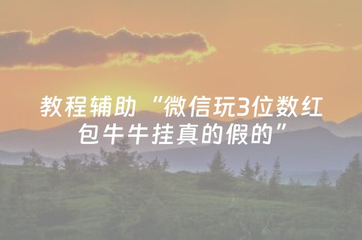 教程辅助“微信玩3位数红包牛牛挂真的假的”（详细透视教程）-哔哩哔哩