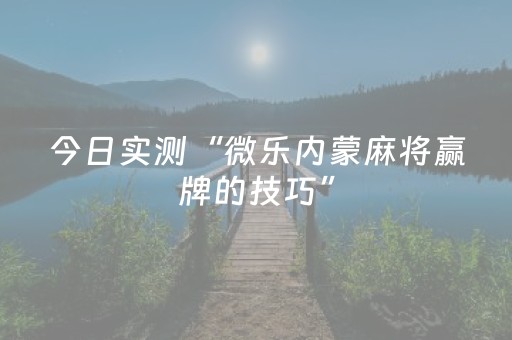 今日实测“微乐内蒙麻将赢牌的技巧”（详细开挂教程）-哔哩哔哩