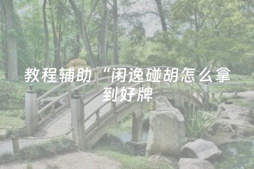 教程辅助“闲逸碰胡怎么拿到好牌（助赢神器通用版）