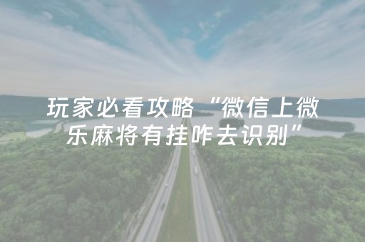 玩家必看攻略“微信上微乐麻将有挂咋去识别”（详细透视教程）-哔哩哔哩