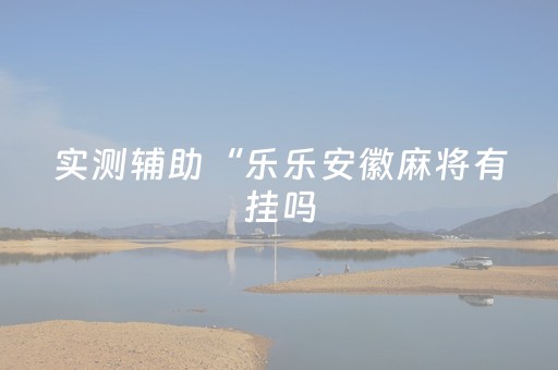 实测辅助“乐乐安徽麻将有挂吗（专用辅牌神器免安装）