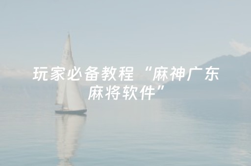 玩家必备教程“麻神广东麻将软件”（详细透视教程）-哔哩哔哩