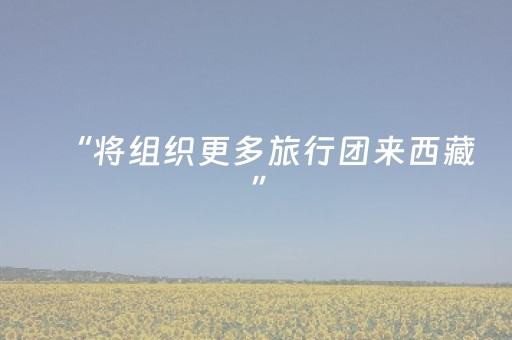 新版本“陕麻圈辅助器安装”（详细透视教程）-哔哩哔哩