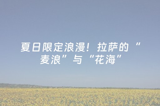 玩家必看攻略“怎样检测麻将机是否被安装程序了”（详细透视教程）-哔哩哔哩