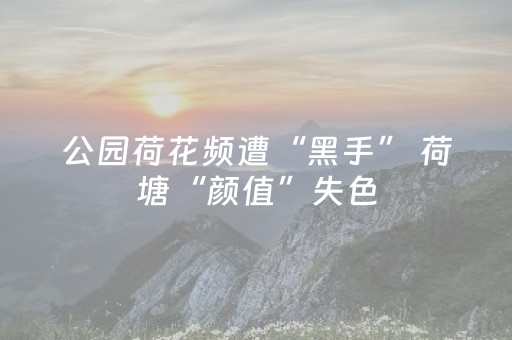 玩家必备教程“微乐广东麻将助赢神器（专用辅牌神器免安装）