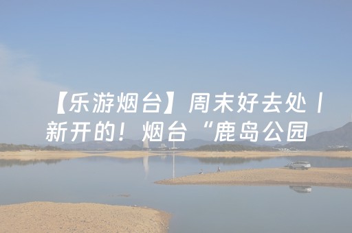 玩家实测“微信红包发5个包尾数是不是能控制大小”（详细透视教程）-哔哩哔哩