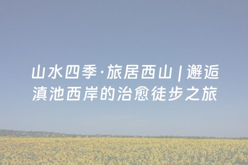 3分钟学会“雀神外挂app下载”（详细透视教程）-哔哩哔哩