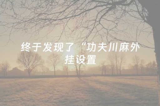 终于发现了“功夫川麻外挂设置（助赢神器通用版）
