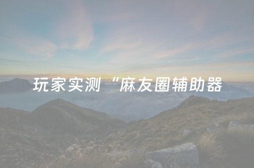 玩家实测“麻友圈辅助器（专用辅牌神器免安装）