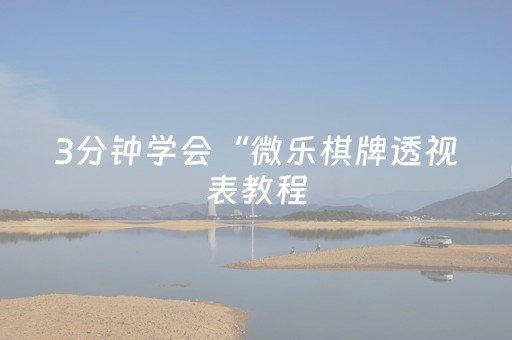 3分钟学会“微乐棋牌透视表教程（助赢神器通用版）