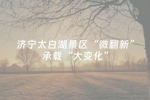 玩家实测“手机跑得快辅助神器免费（助赢神器通用版）