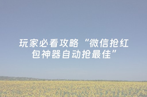 玩家必看攻略“微信抢红包神器自动抢最佳”（详细透视教程）-哔哩哔哩