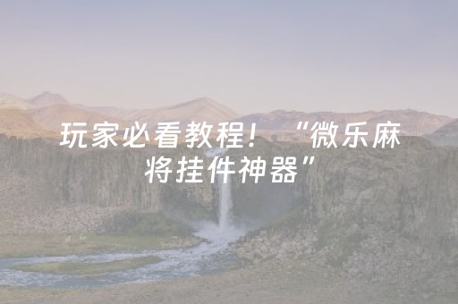 玩家必看教程！“微乐麻将挂件神器”（详细辅助教程）-哔哩哔哩