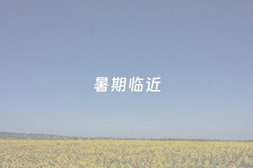 3分钟学会“微乐麻将铺牌器最新（助赢神器通用版）