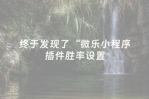 终于发现了“微乐小程序插件胜率设置（助赢神器通用版）