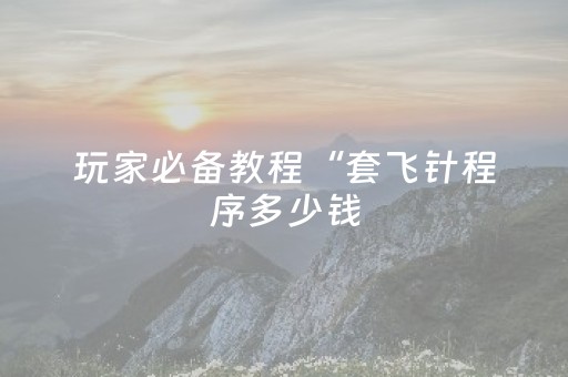 玩家必备教程“套飞针程序多少钱（专用辅牌神器免安装）