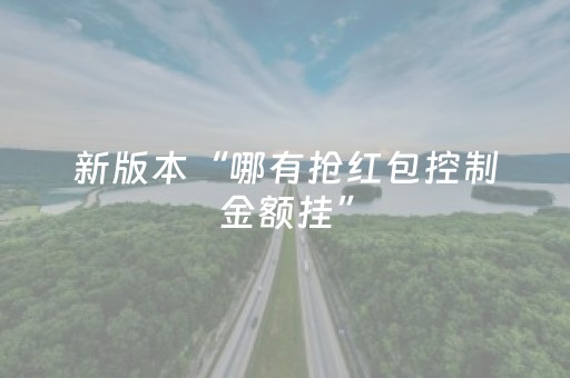 新版本“哪有抢红包控制金额挂”（详细透视教程）-哔哩哔哩