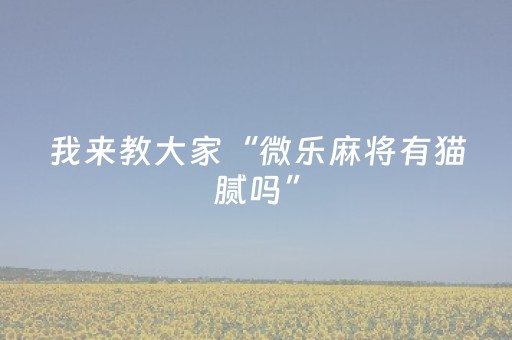 我来教大家“微乐麻将有猫腻吗”（详细透视教程）-哔哩哔哩
