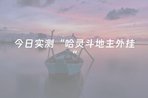 今日实测“哈灵斗地主外挂”（详细辅助教程）-哔哩哔哩