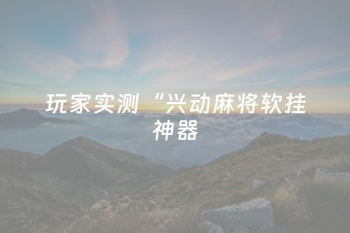 玩家实测“兴动麻将软挂神器（专用辅牌神器免安装）