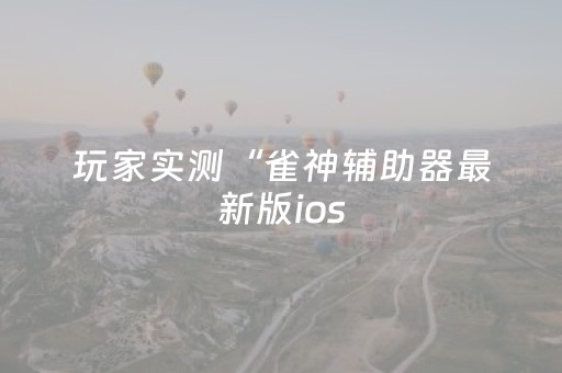 玩家实测“雀神辅助器最新版ios（助赢神器通用版）