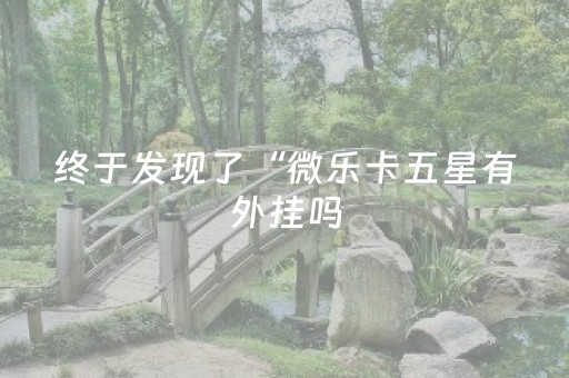 终于发现了“微乐卡五星有外挂吗（专用辅牌神器免安装）
