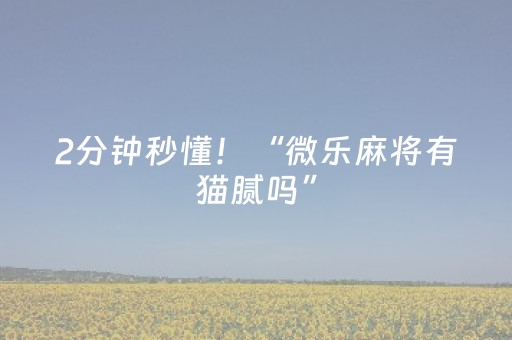 2分钟秒懂！“微乐麻将有猫腻吗”（详细开挂教程）-哔哩哔哩