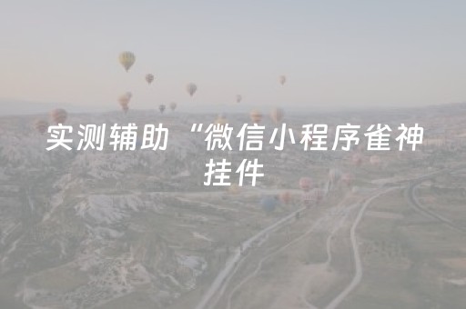 实测辅助“微信小程序雀神挂件（专用辅牌神器免安装）
