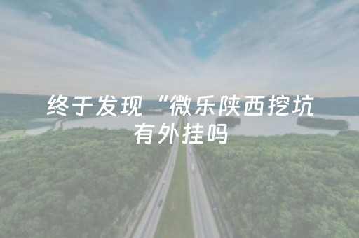 终于发现“微乐陕西挖坑有外挂吗（专用辅牌神器免安装）