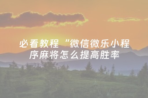 必看教程“微乐广东麻将有挂的吗（专用辅牌神器免安装）