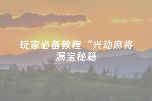 玩家必备教程“兴动麻将漏宝秘籍（助赢神器通用版）