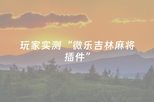 玩家实测“微乐吉林麻将插件”（详细透视教程）-哔哩哔哩