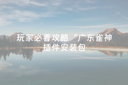 玩家必看攻略“广东雀神插件安装包（助赢神器通用版）