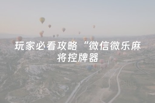 玩家必看攻略“微信微乐麻将控牌器（专用辅牌神器免安装）