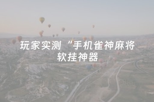 玩家实测“手机雀神麻将软挂神器（专用辅牌神器免安装）