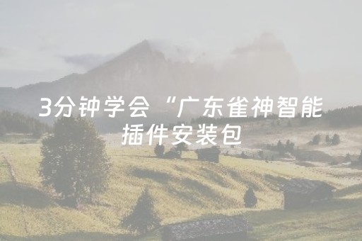 3分钟学会“广东雀神智能插件安装包（专用辅牌神器免安装）