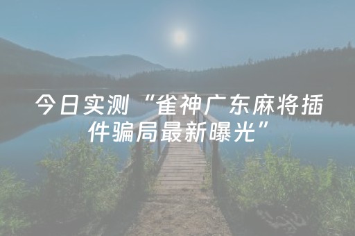 今日实测“雀神广东麻将插件骗局最新曝光”（详细辅助教程）-哔哩哔哩