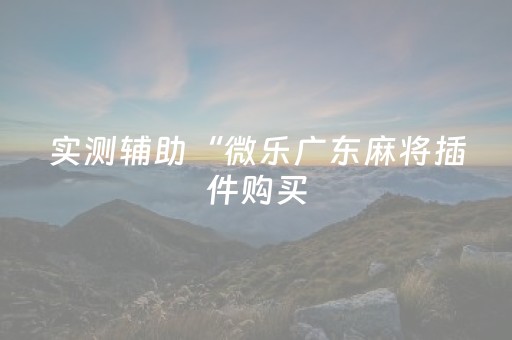 实测辅助“微乐广东麻将插件购买（助赢神器通用版）
