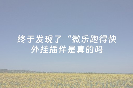 终于发现了“微乐跑得快外挂插件是真的吗（助赢神器通用版）