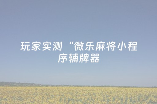 玩家实测“微乐麻将小程序辅牌器（助赢神器通用版）