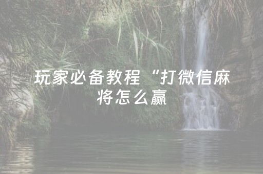 玩家必备教程“打微信麻将怎么赢（助赢神器通用版）
